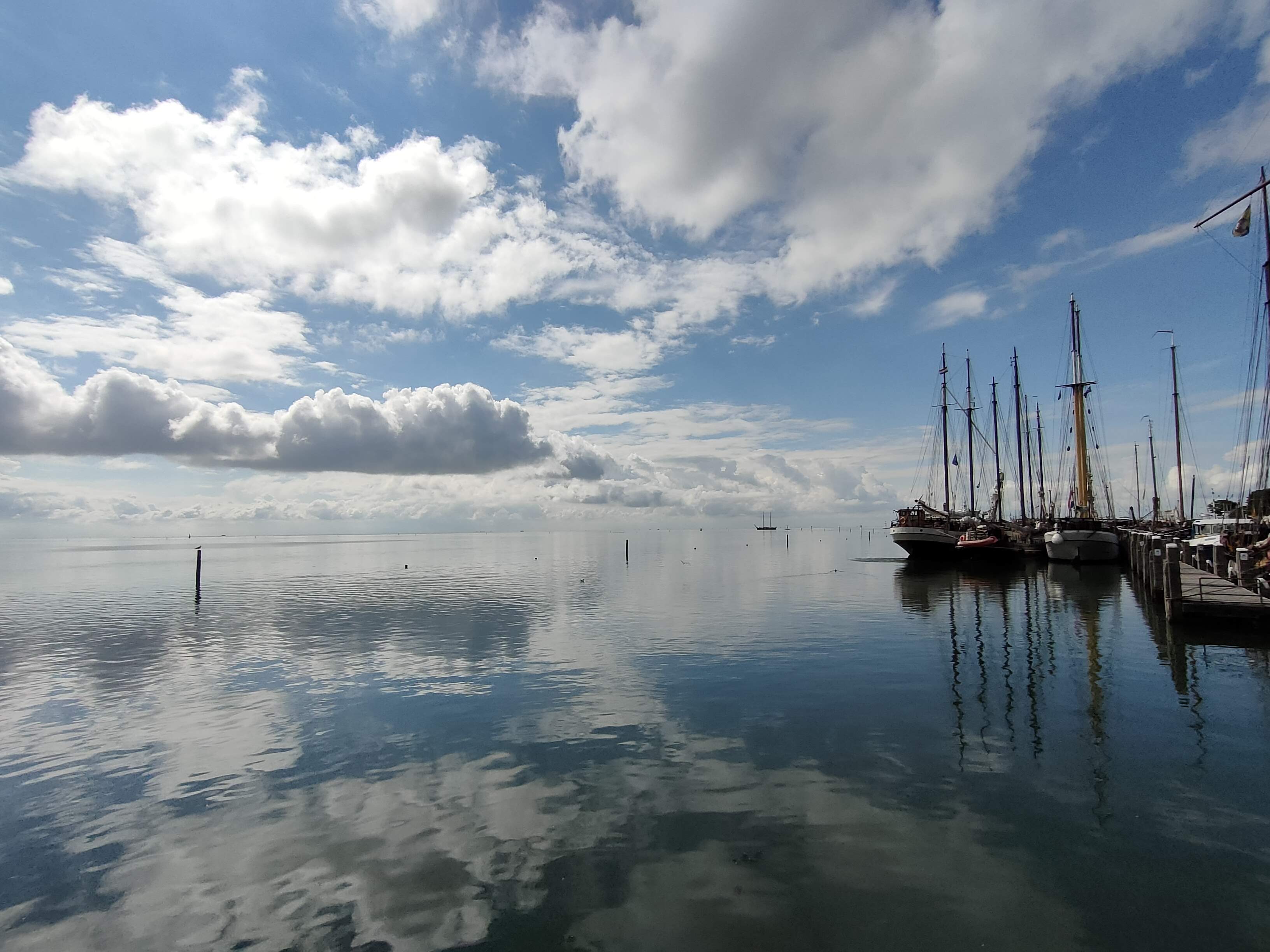 haven terschell