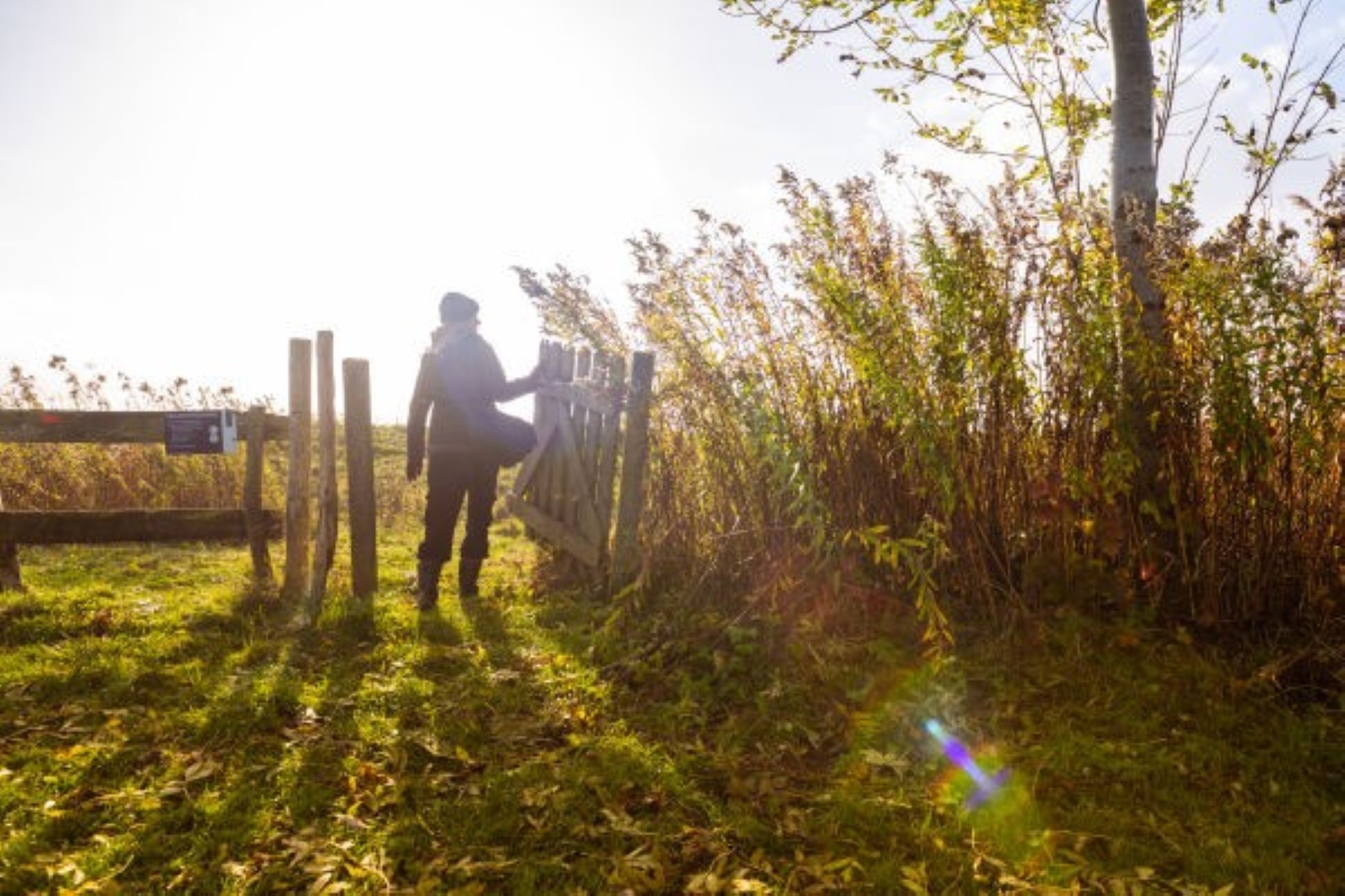 Natuurtips voor het najaar! 