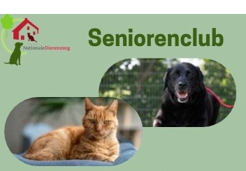 Seniorenclub